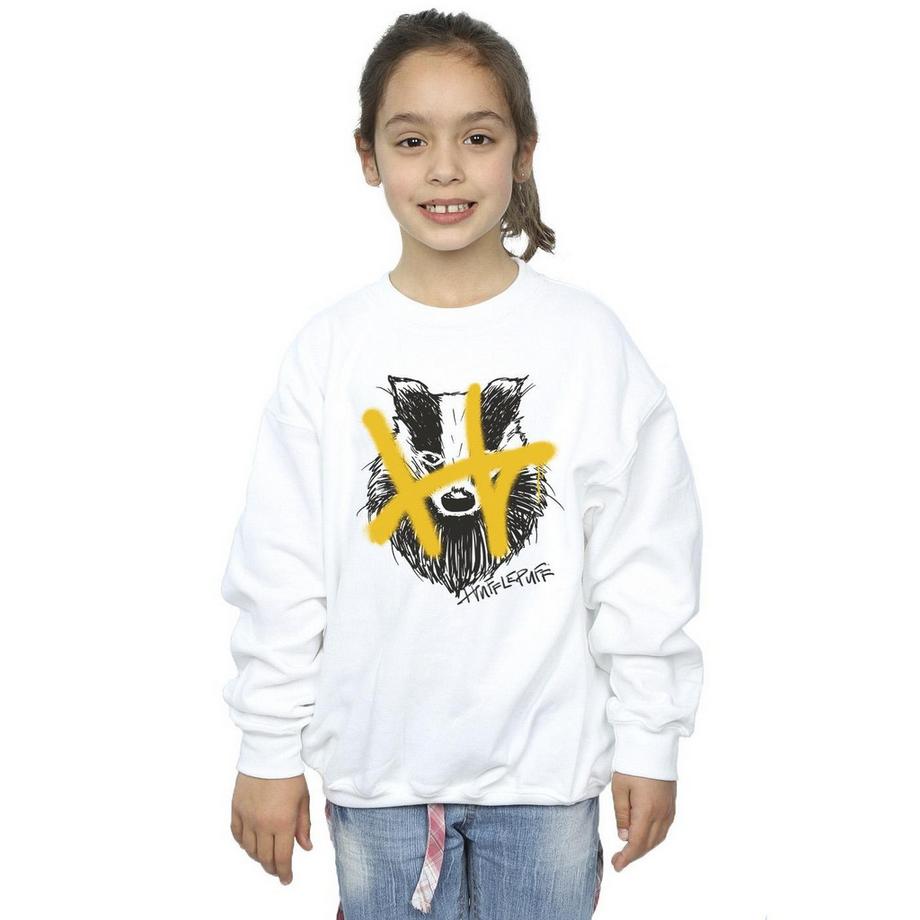 Harry Potter  Hufflepuff Sweatshirt 