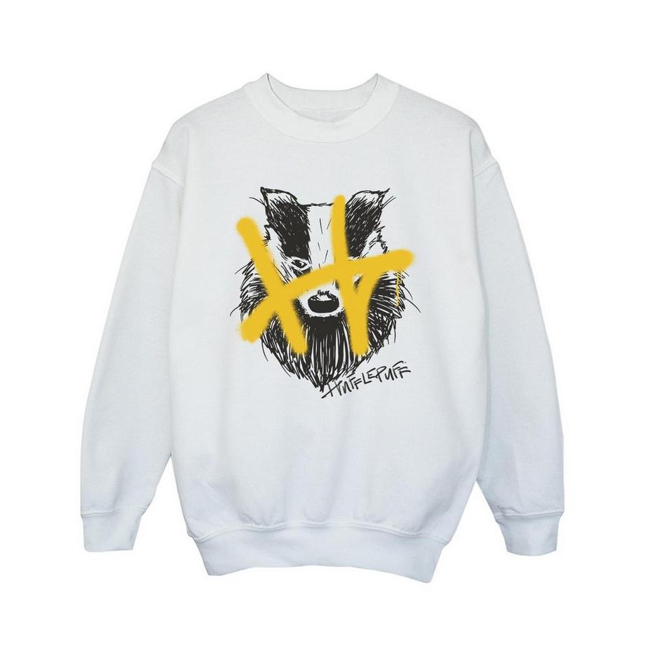 Harry Potter  Hufflepuff Sweatshirt 