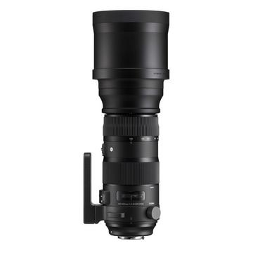 Sigma 150-600mm f/5-6.3 DG OS HSM | Sports (Nikon)