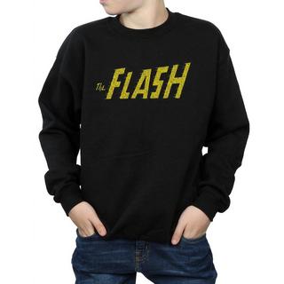 DC COMICS  Sweatshirt 