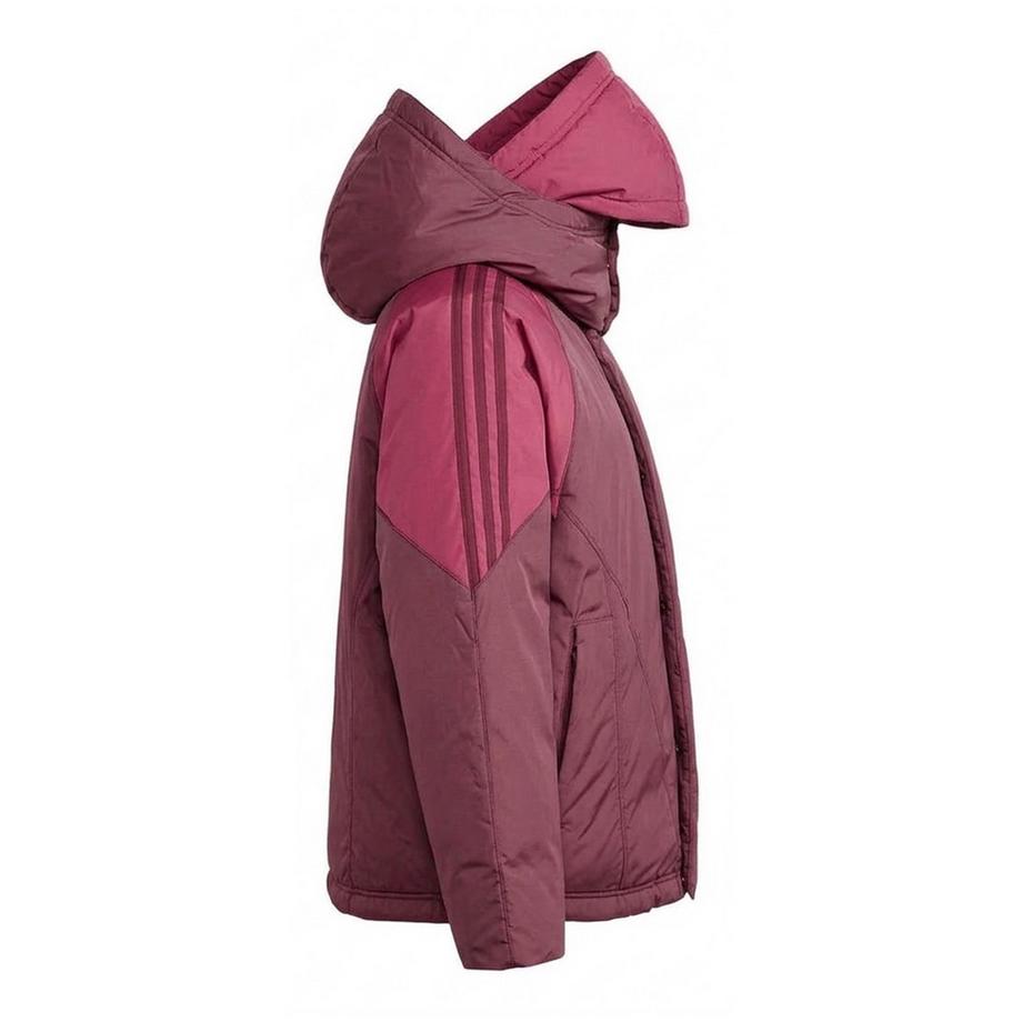 adidas Originals Piumino Imbottito In Piumino  