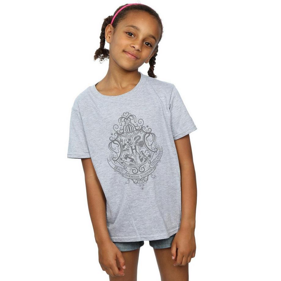 HARRY-POTTER  Hogwarts Draco Dormiens TShirt 