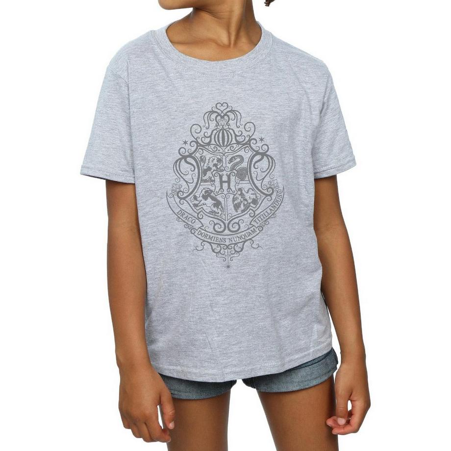 HARRY-POTTER  Hogwarts Draco Dormiens TShirt 