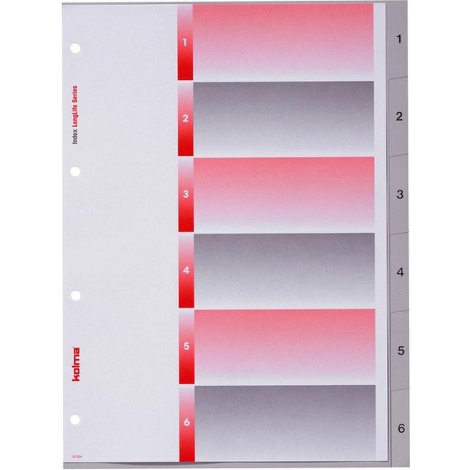 Kolma  KOLMA Register Longlife A4 19.564.03 grau, 6-teilig 