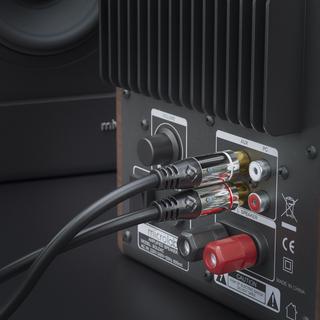 sonero  sonero S-AC900-100 cavo audio 10 m RCA 2 x RCA Nero 