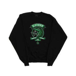 Harry Potter  Sweat SLYTHERIN 