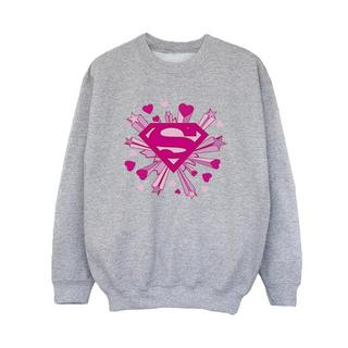 DC COMICS  Sweatshirt 