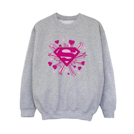 DC COMICS  Sweatshirt 