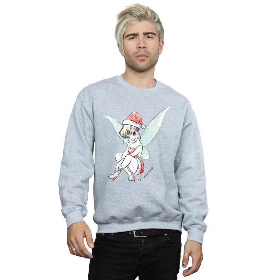 Disney Fairy Sweatshirt  