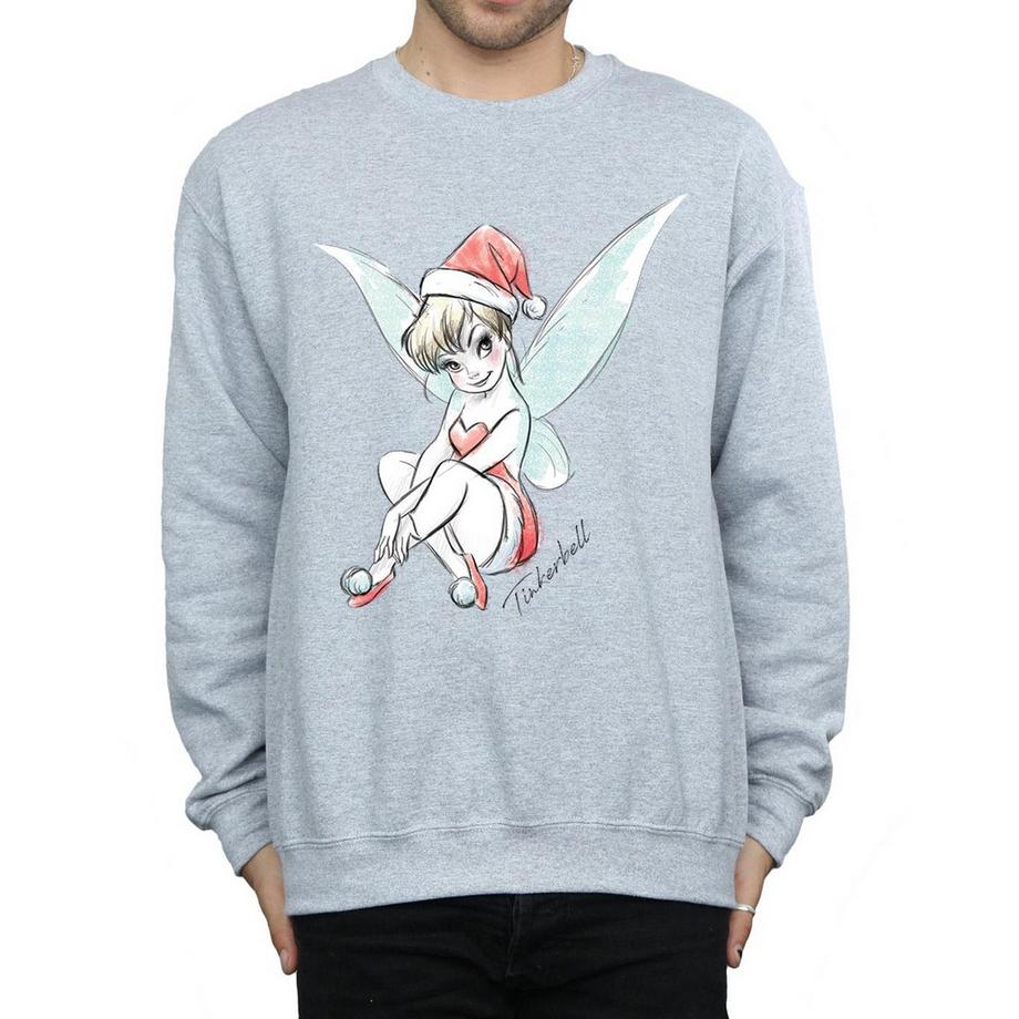 Disney Fairy Sweatshirt  