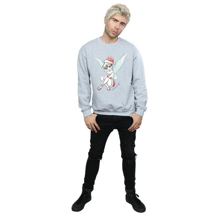 Disney Fairy Sweatshirt  