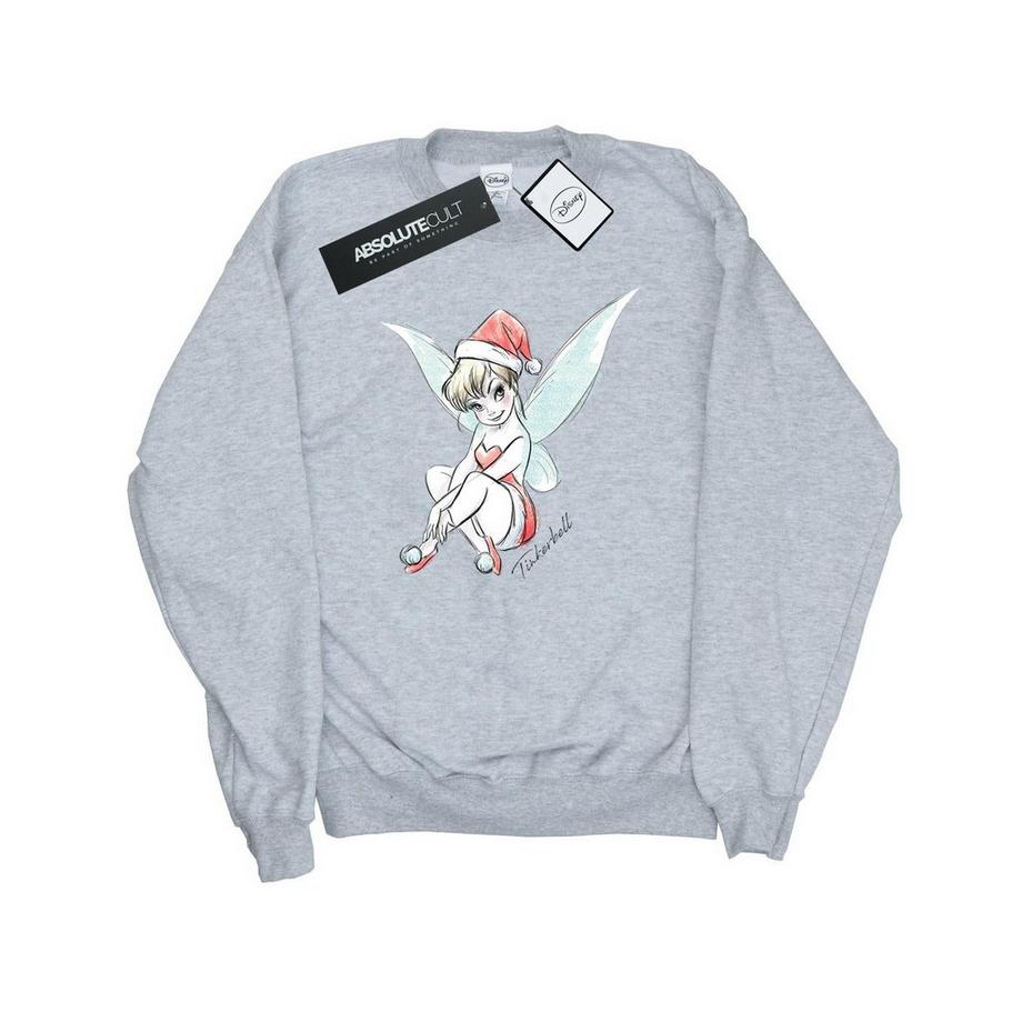 Disney Fairy Sweatshirt  
