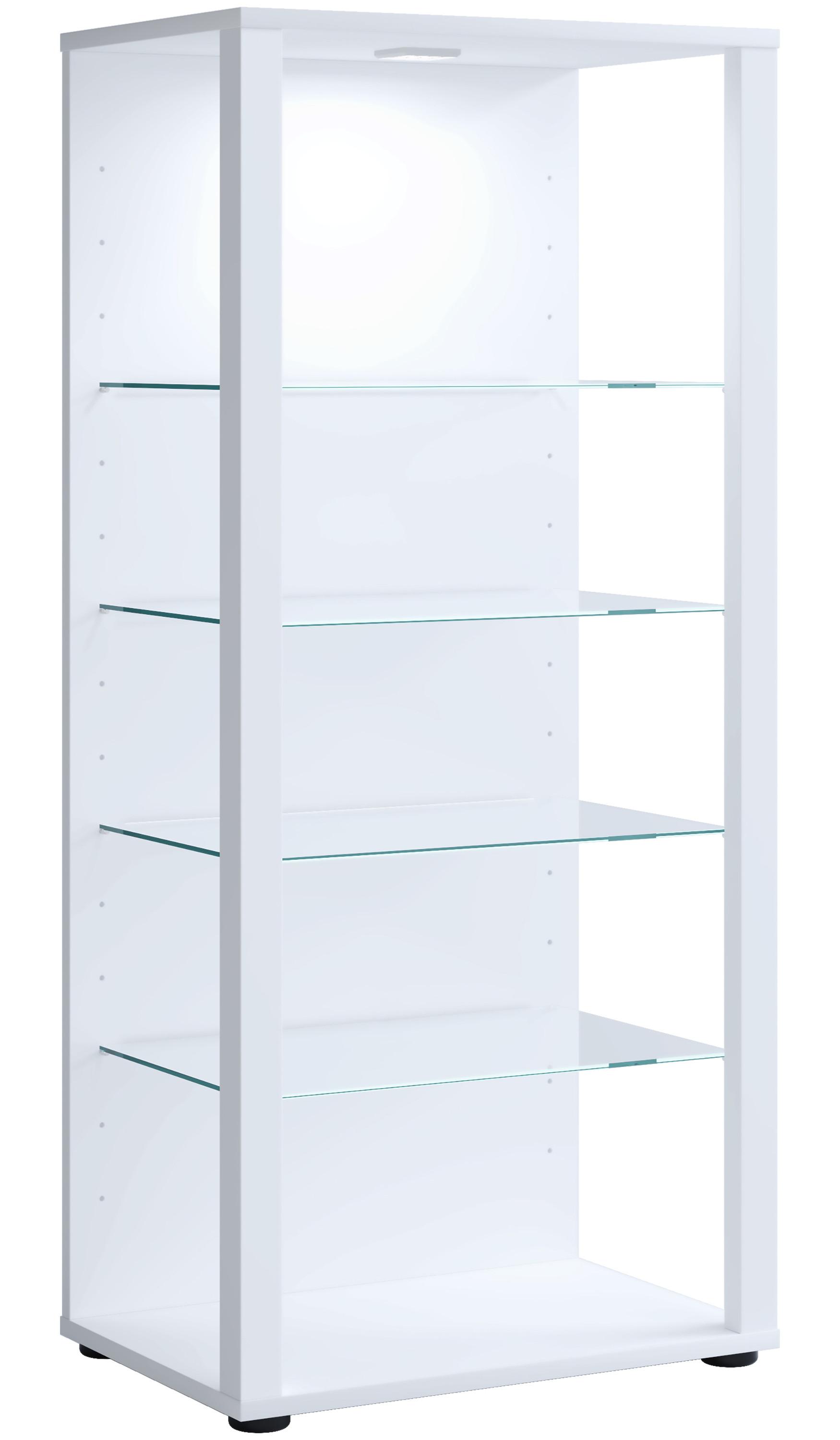 VCM Bois verre vitrine de collection vitrine de verre vitrine de stand vitrine Glasol lll  