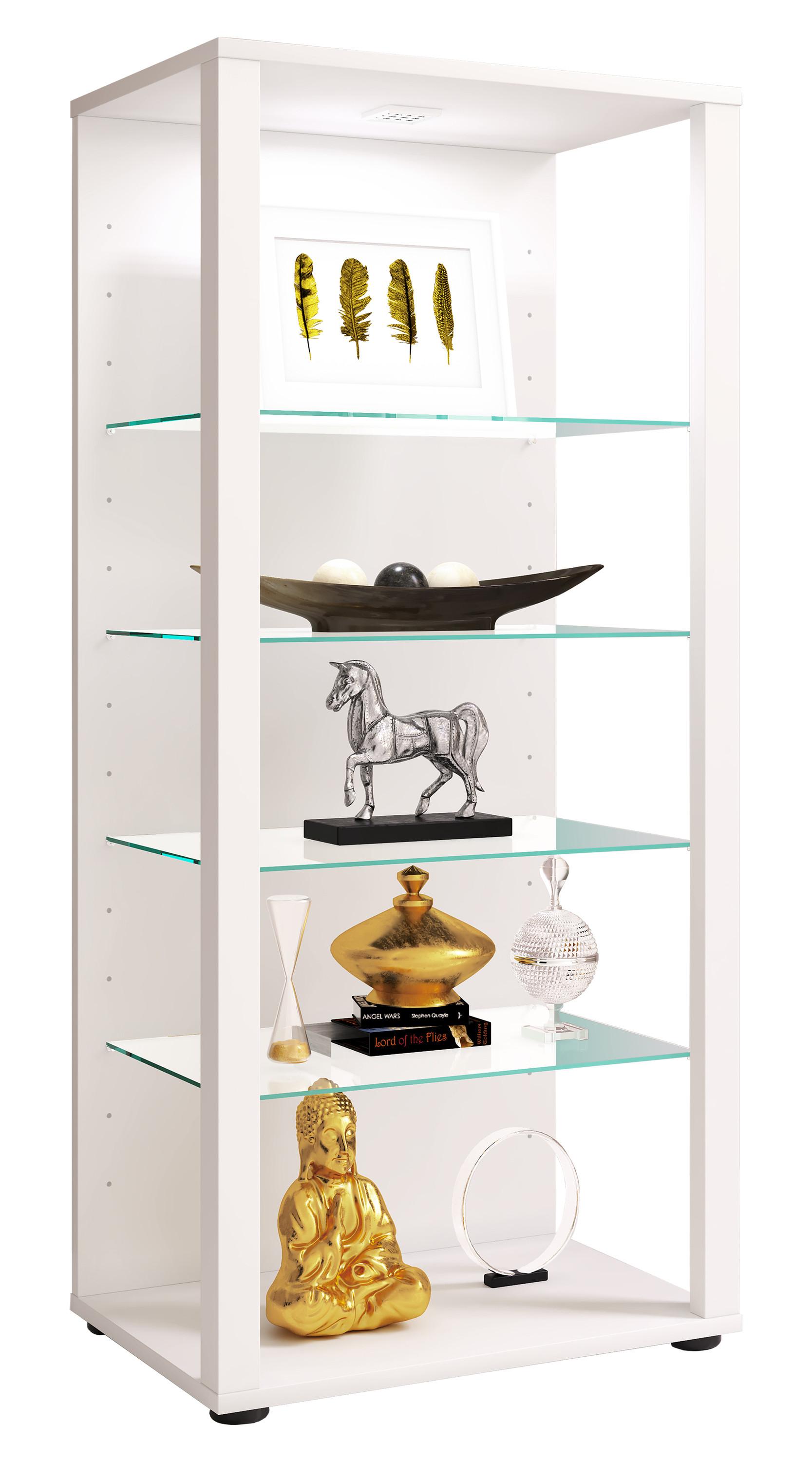 VCM Bois verre vitrine de collection vitrine de verre vitrine de stand vitrine Glasol lll  