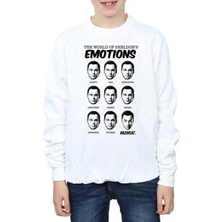 The Big Bang Theory  Sweat 