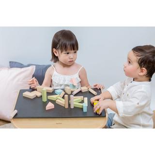 Plantoys  PlanToys Jouets en bois Blocs de 40 unités 