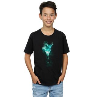 Harry Potter  Patronus TShirt 