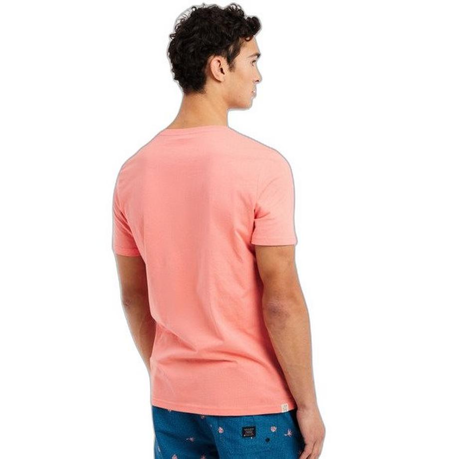 PROTEST Prtsharm Grafikdruck T-Shirt  