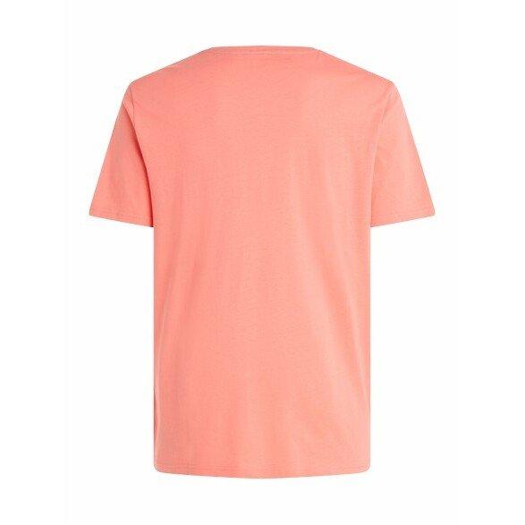 PROTEST Prtsharm Grafikdruck T-Shirt  