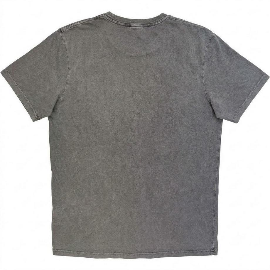Foo Fighters Logo T-Shirt Steinwaschen  