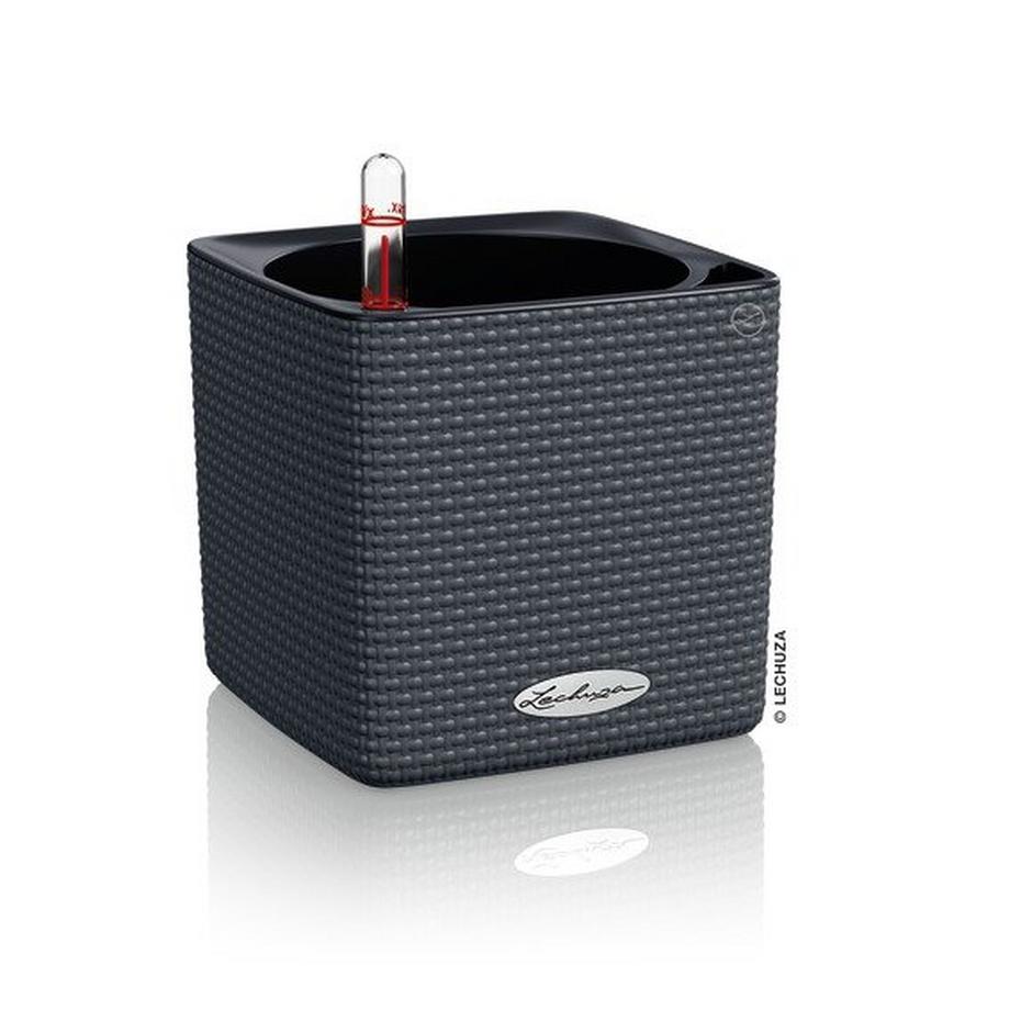 Lechuza CUBE Color all-in-one  