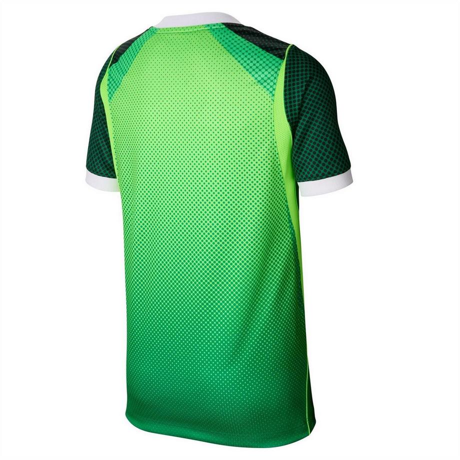 NIKE  Fifa World Cup 2026 Nigeria Fc Maglietta Da Casa 