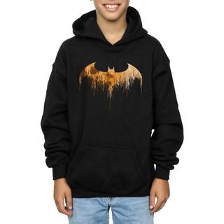 DC COMICS  Sweat à capuche ARKHAM KNIGHT 