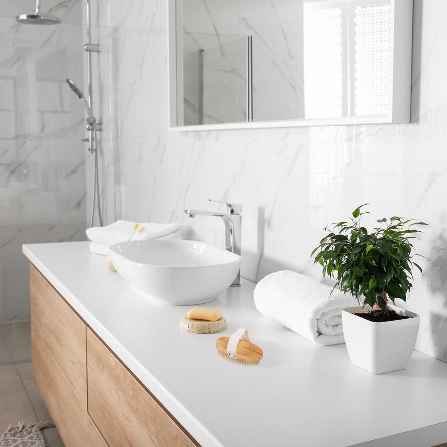 B2X  Brosse dorsale en lot de 6 pièces 