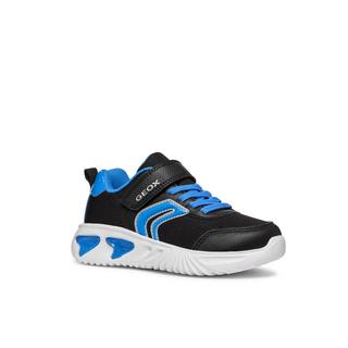 GEOX  sneakers da assister 