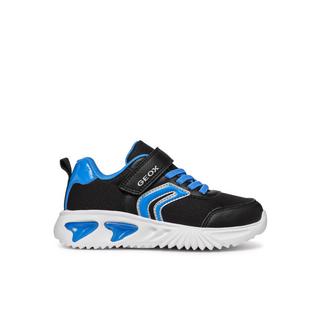 GEOX  sneakers da assister 