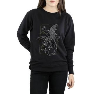 Harry Potter  Sweatshirt 