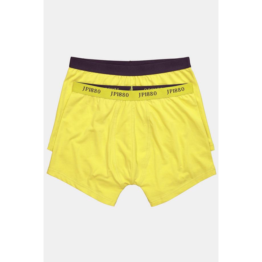 JP1880 Mid-Pants FLEXNAMIC OEKO-TEX 2er-Pack  