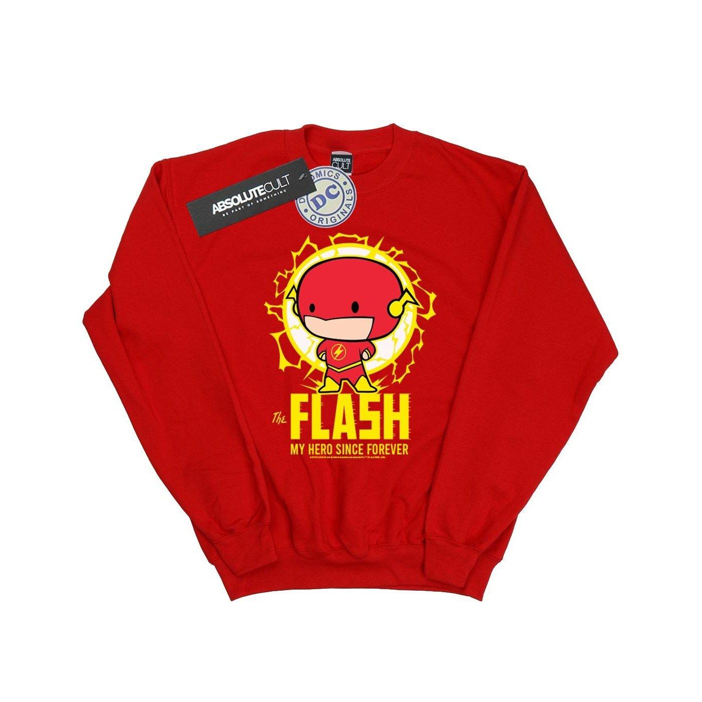 DC COMICS  Flash My Hero Since Forever Sweatshirt 