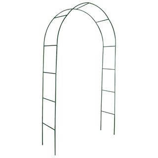 VidaXL  Arche de jardin fer 