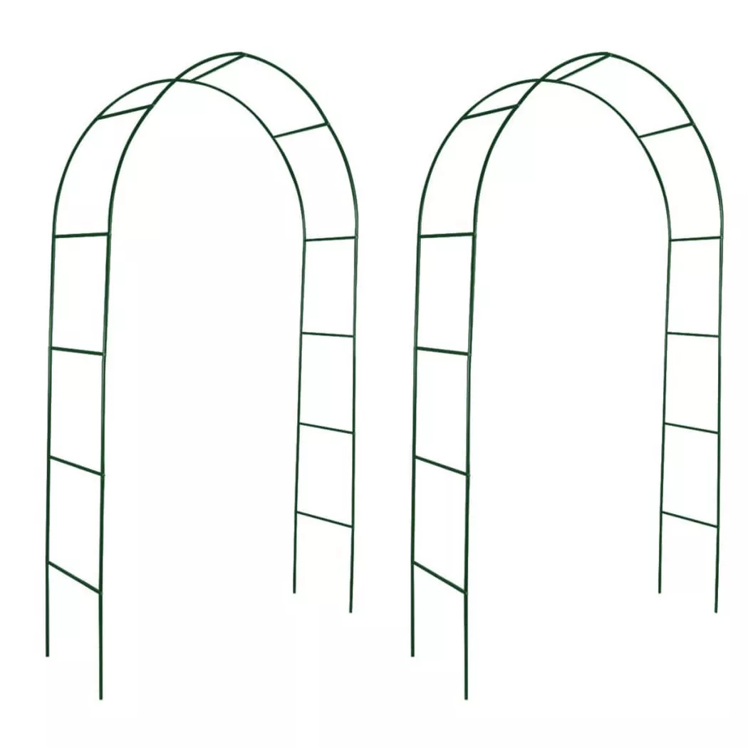 VidaXL - Arche de jardin fer, One Size, Vert