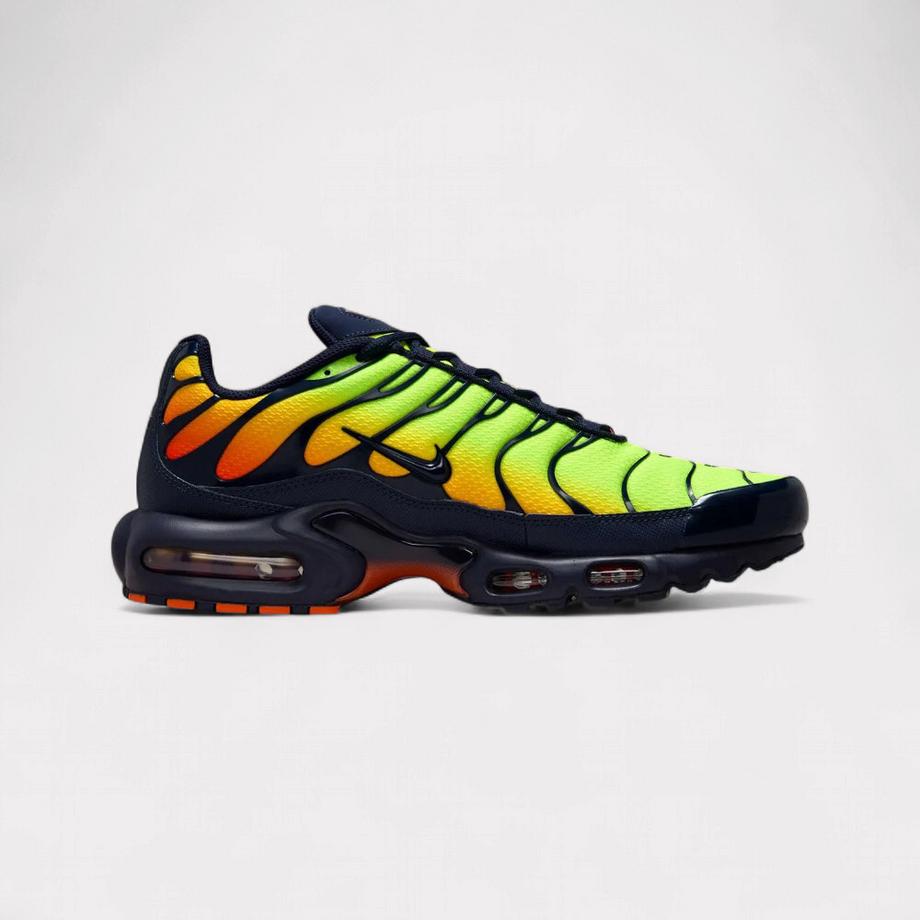 NIKE Air Max Plus Baskets  