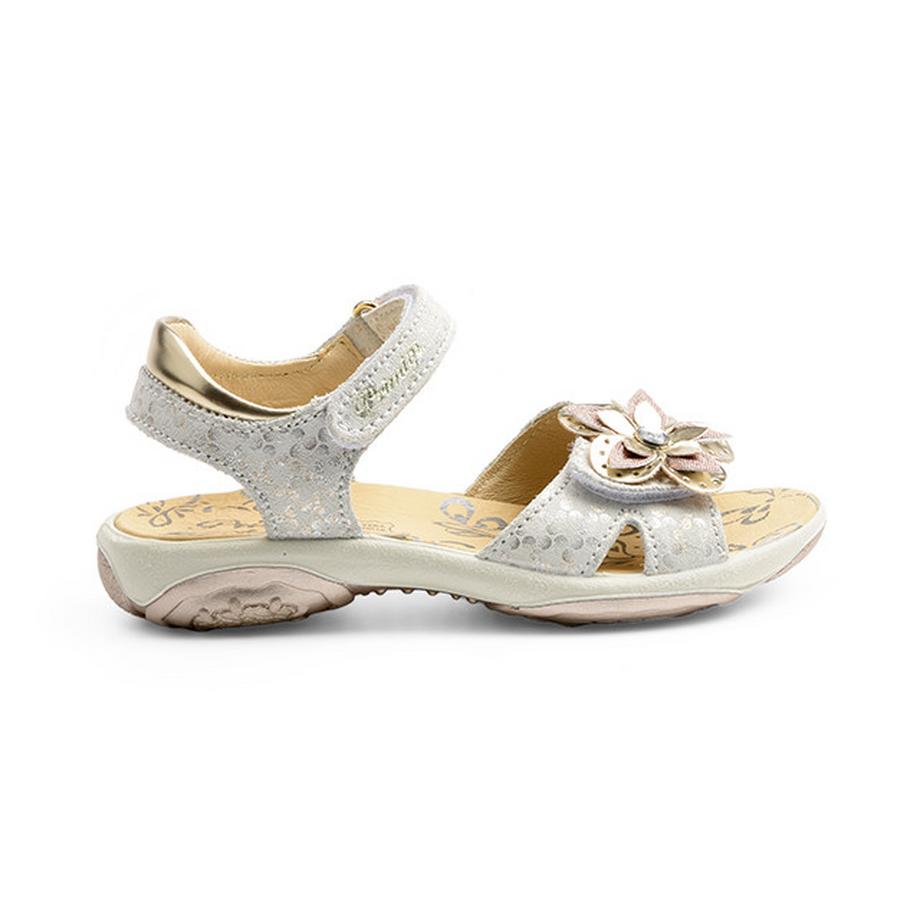 Primigi  Breeze Scam 