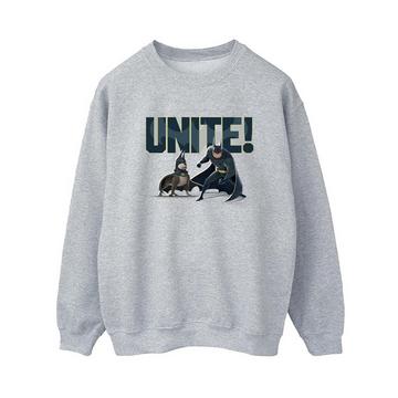 DCs DC League Of SuperPets Unite Pair Sweatshirt