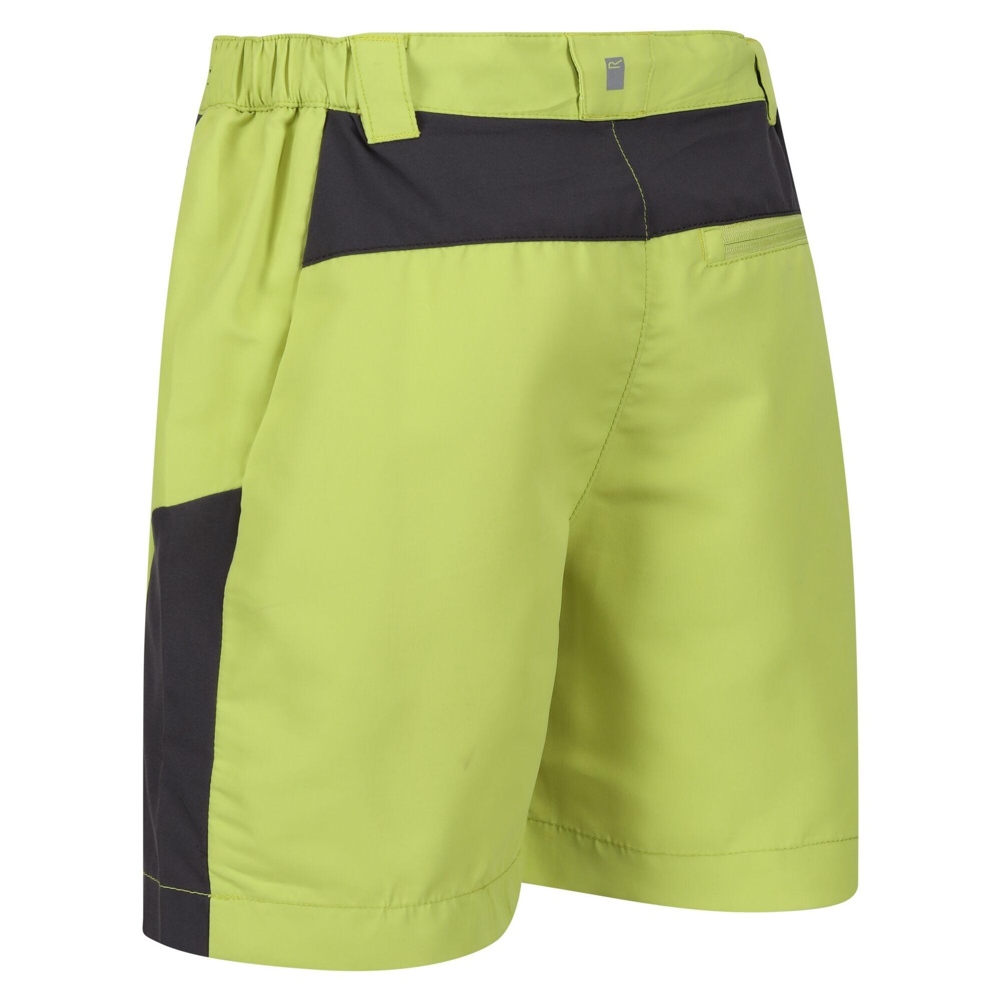 Regatta  Sorcer Mountain III Shorts 