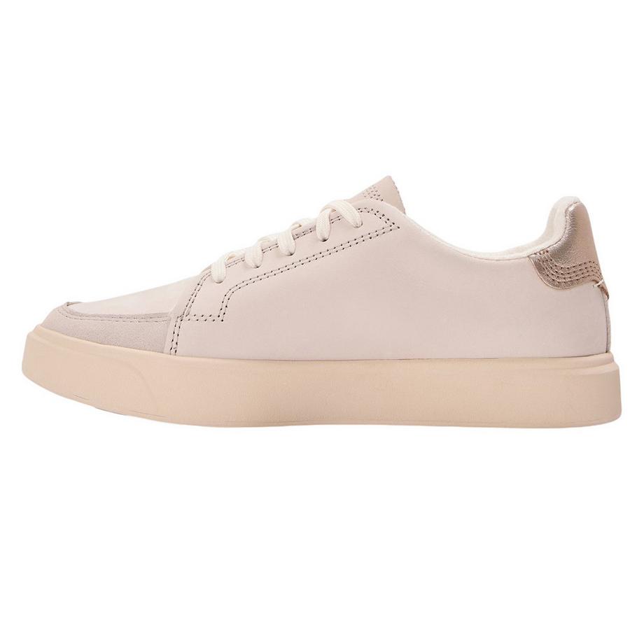 Timberland Baskets en Cuir Coupe Basse  