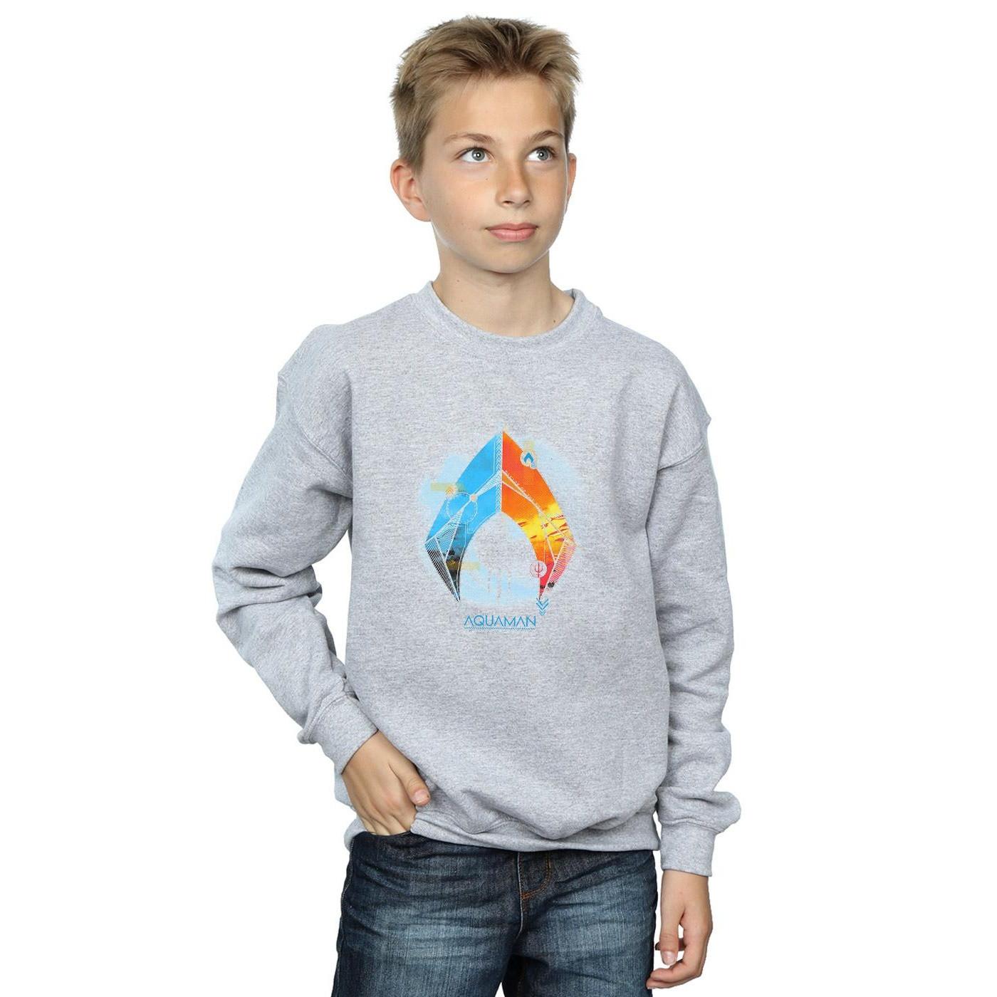 DC COMICS  Sweatshirt 