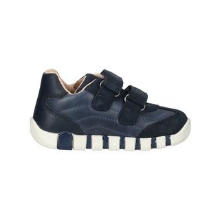 GEOX  Sneaker 