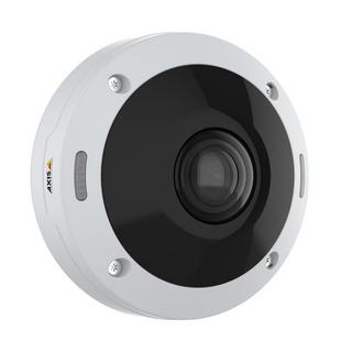 AXIS  Axis 02100-001 telecamera di sorveglianza Cupola Telecamera di sicurezza IP Interno e esterno 2880 x 2880 Pixel Soffitto/muro 