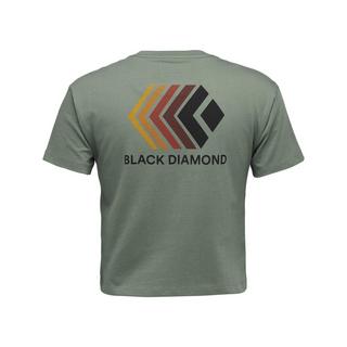 Black Diamond  t-shirt back diamond faded crop 