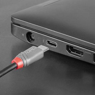 LINDY  36890 cavo USB 0,5 m USB 2.0 USB C Micro-USB B Nero, Grigio 