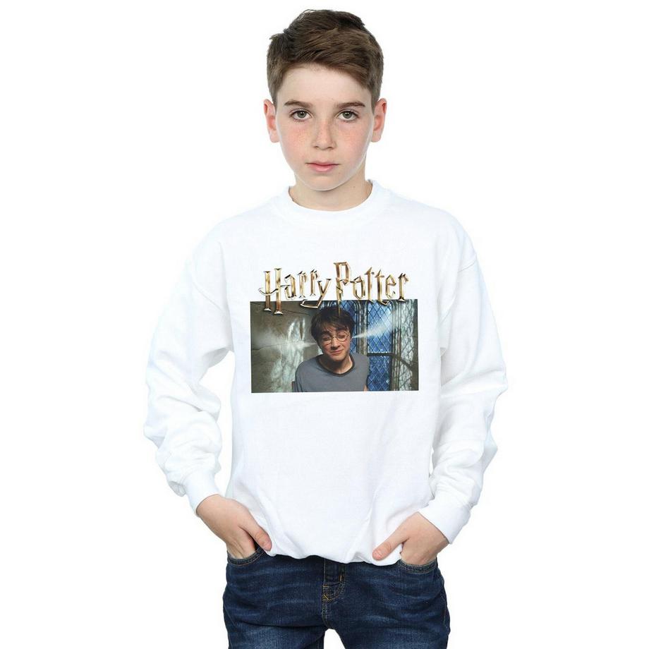 Harry Potter  Sweatshirt 