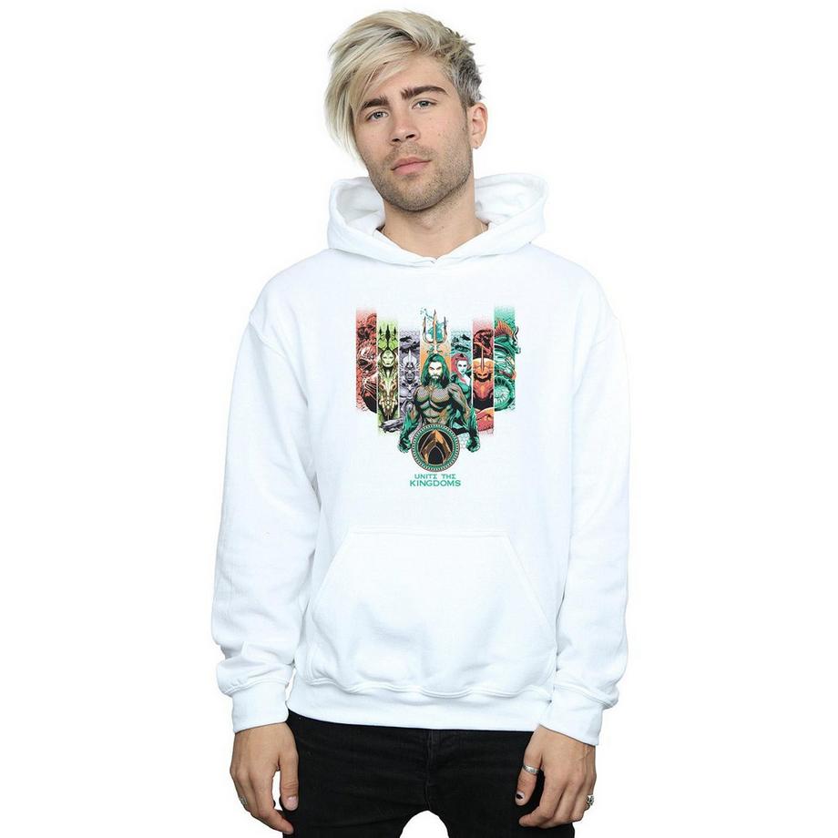DC COMICS Unite The Kingdoms Sweat à capuche  