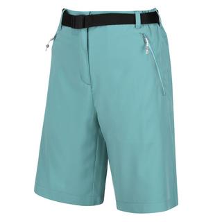 Regatta  Xert Shorts 