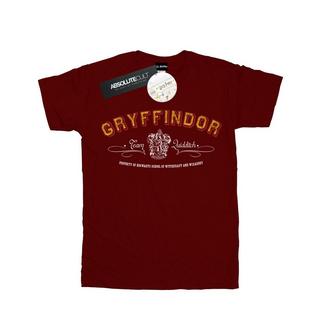 Harry Potter Gryffindor Quidditch T-Shirt  