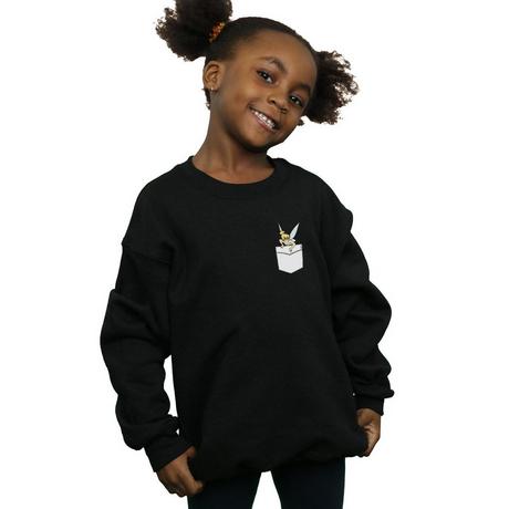 Disney  Sweatshirt 